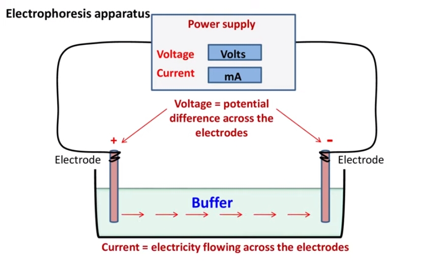 What is Electrophoretic Deposition（EPD）？